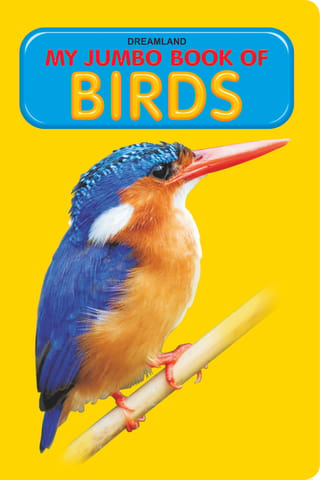 Dreamland Publications - My Jumbo Book - BIRDS