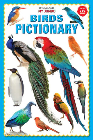 Dreamland Publications - My Jumbo Birds Pictionary