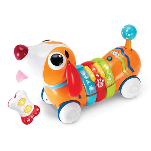 WinFun Remote Control Rainbow Pup